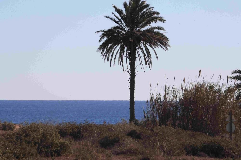 Repoblando Calblanque