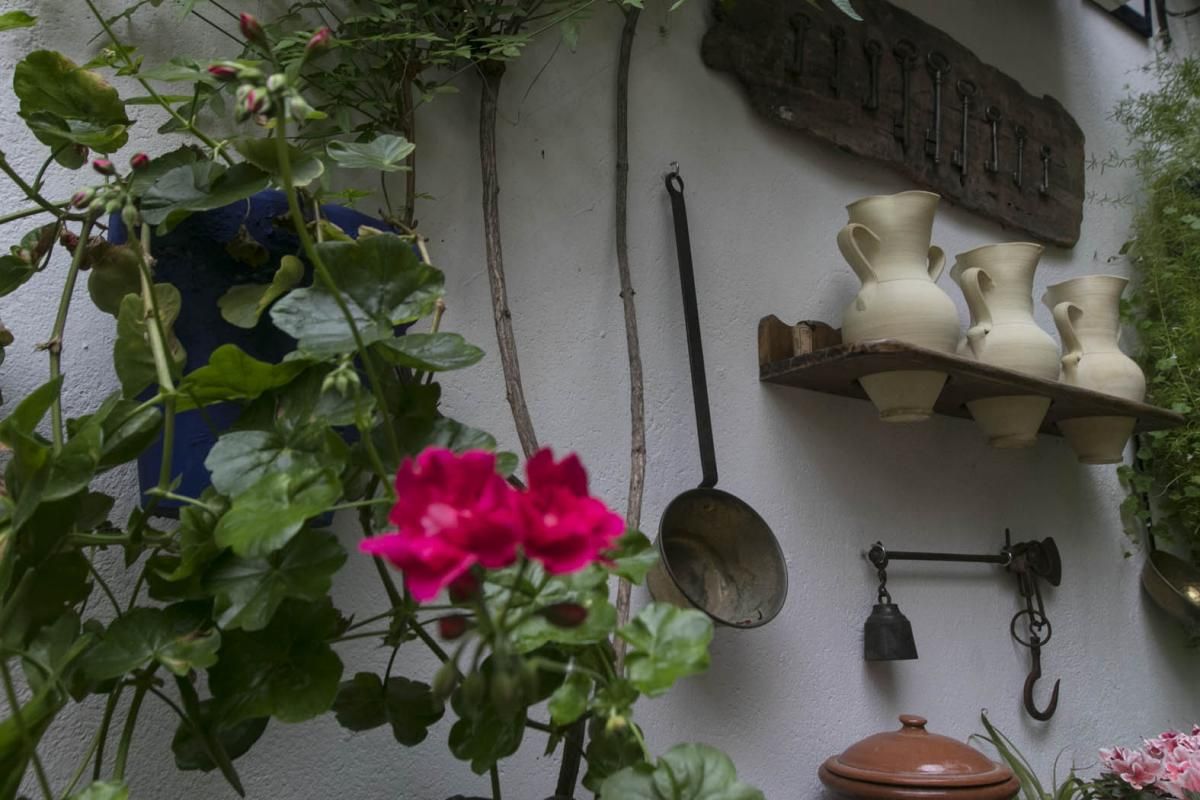 Fotogalería / Descubriendo los patios de la ruta del Realejo y San Andrés