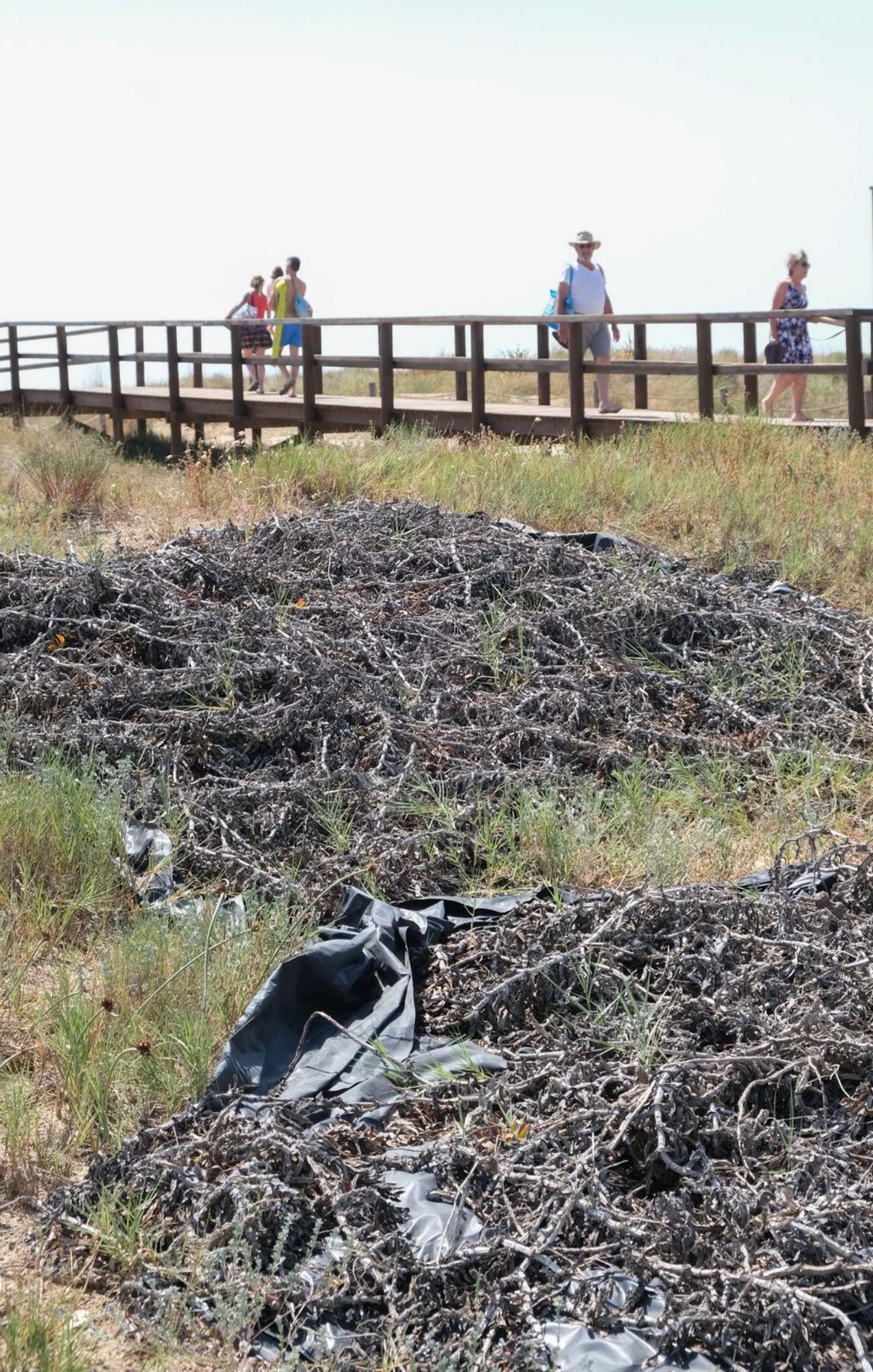 Los montones de plástico se pueden ver con facilidad, así como los restos secos de plantas invasoras