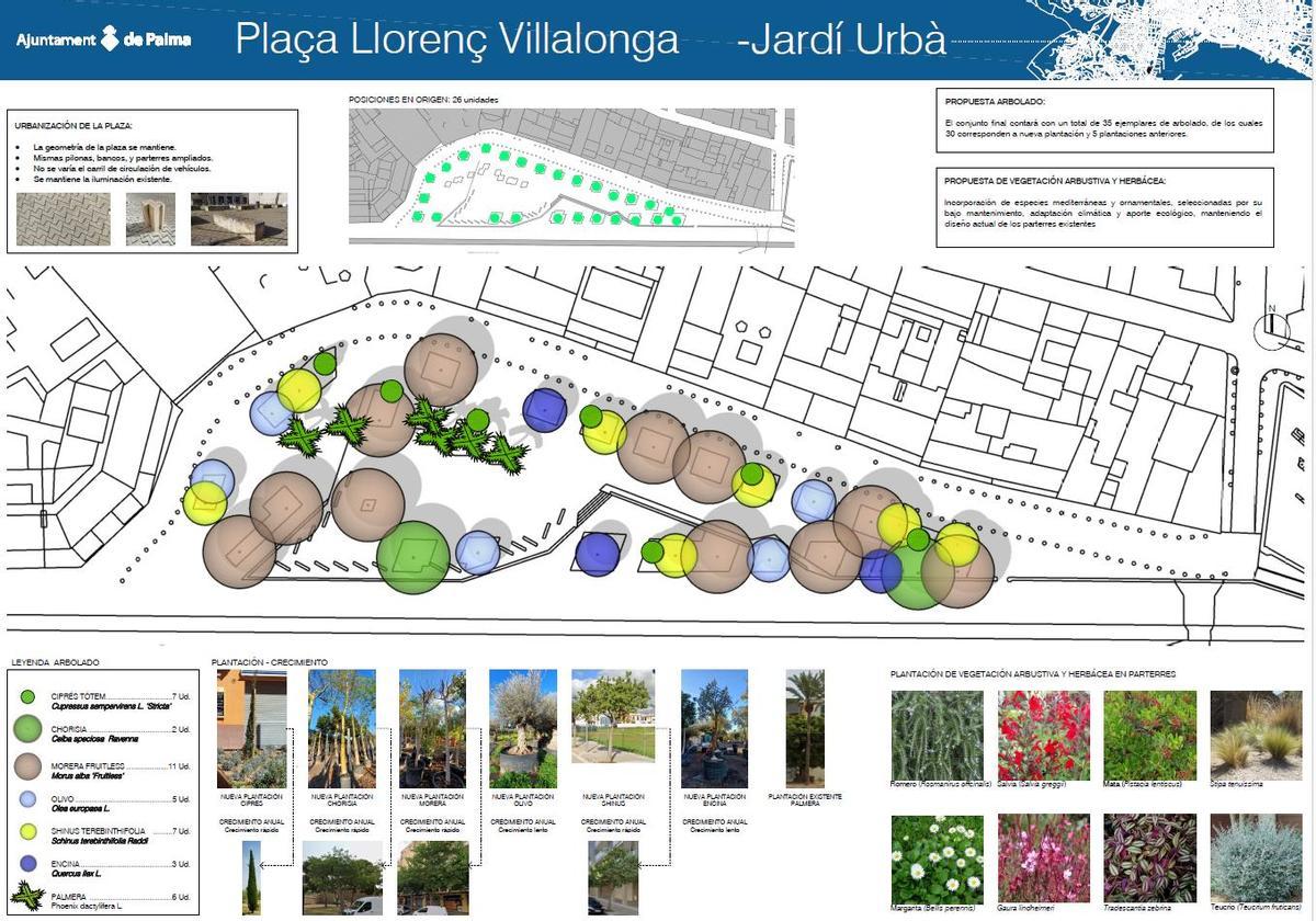 Especies que se plantarán y su disposición en la plaza.