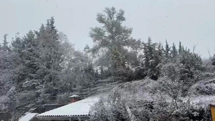 El Moianès fa ple i es tenyeix de blanc a tots els municipis
