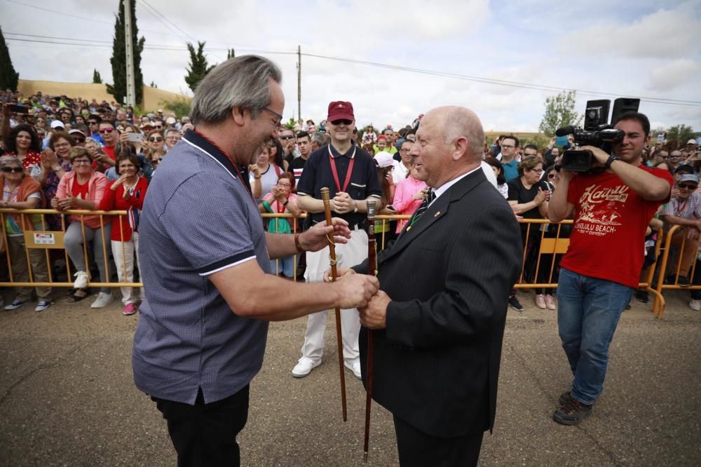 La Concha recorre el trayecto entre Zamora y el mu