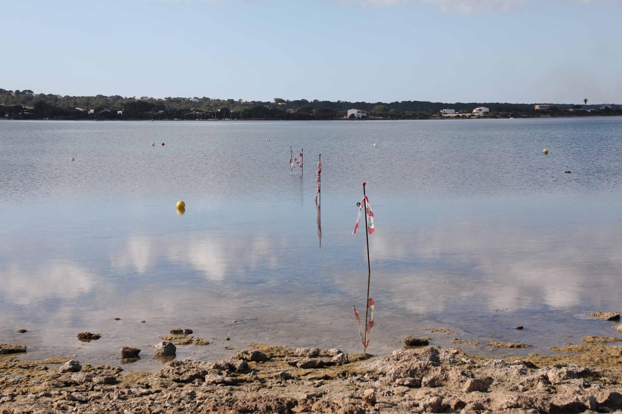 Comienzan las obras en s'Estany des Peix en Formentera