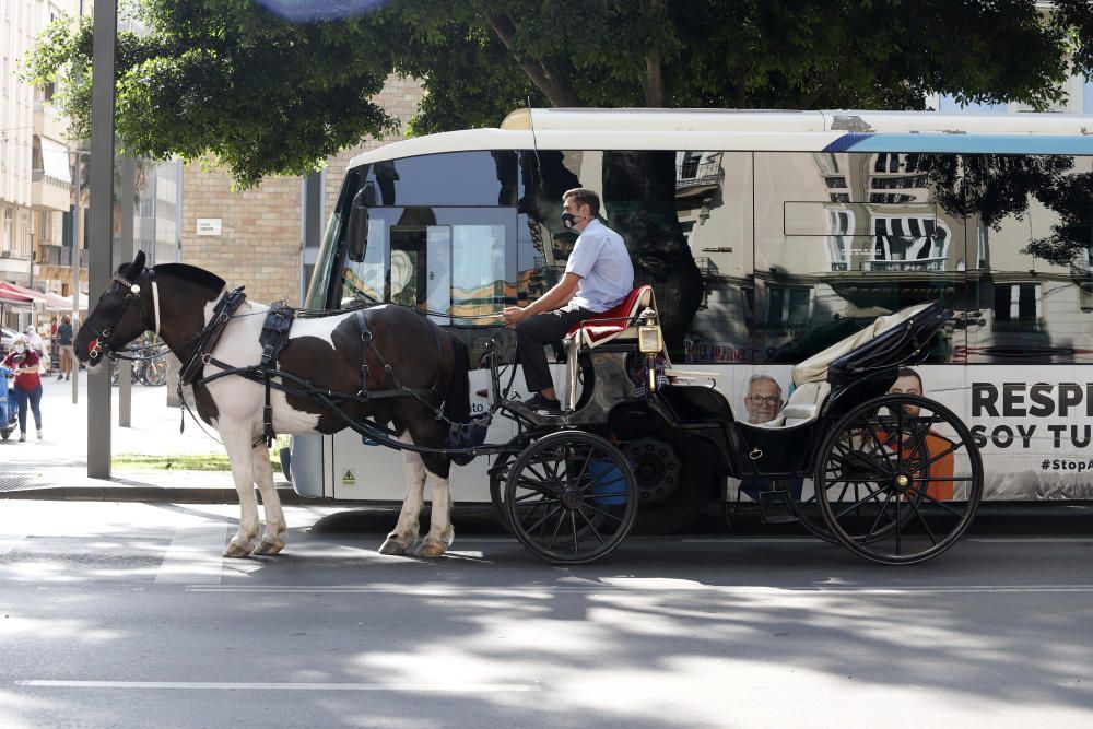 Las imágenes del Día sin Coches 2020 en Málaga