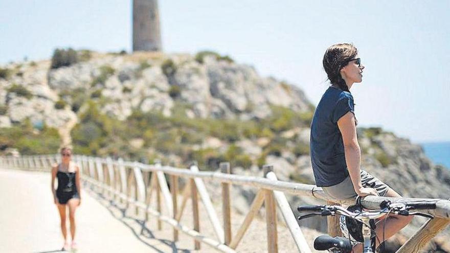 El negocio de las 'bike' en Castellón: por qué el pedal cautiva a la  automoción - El Periódico Mediterráneo