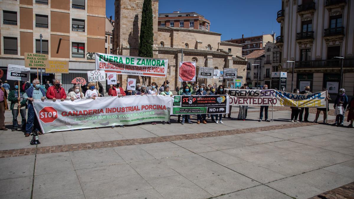 Concentración de Pueblos Vivos contra las macrograngas en la Plaza de la Constitución