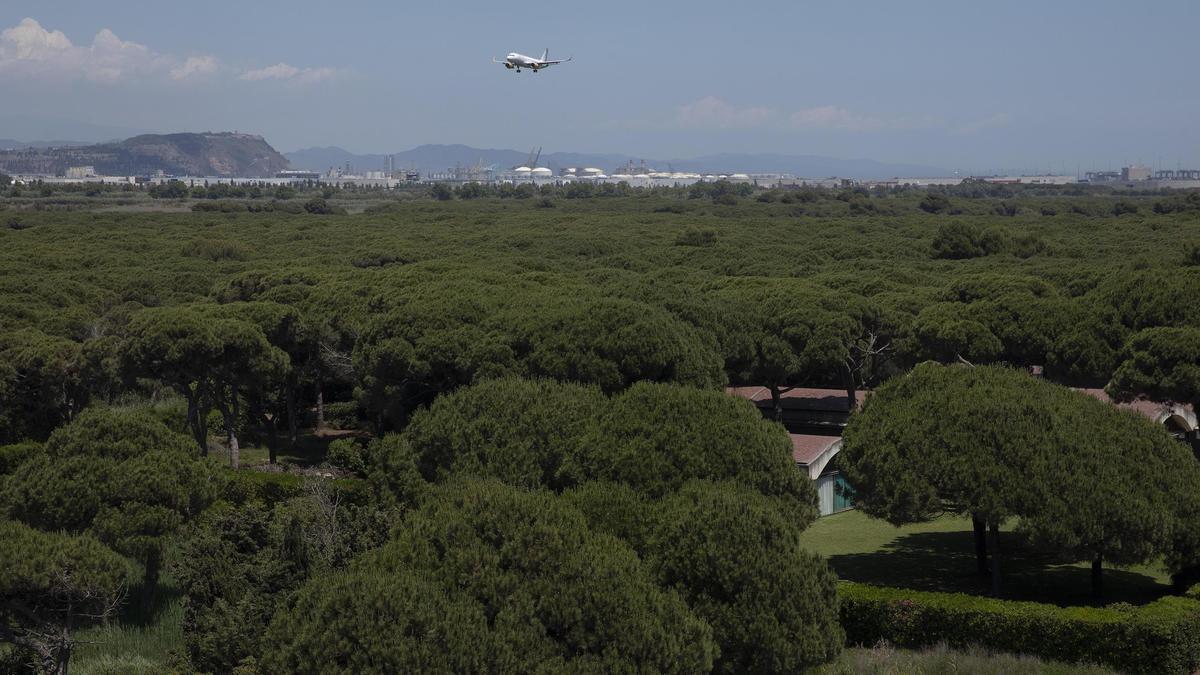 Un avión pasa por encima de La Ricarda (con la Casa Gomis en primer término) antes de aterrizar en El Prat