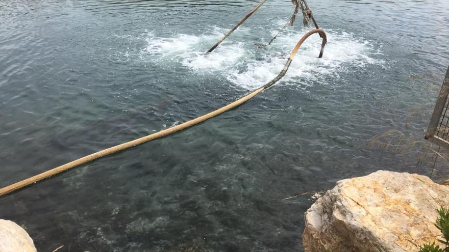 El agua del viejo cauce se ha aclarado en la última semana.