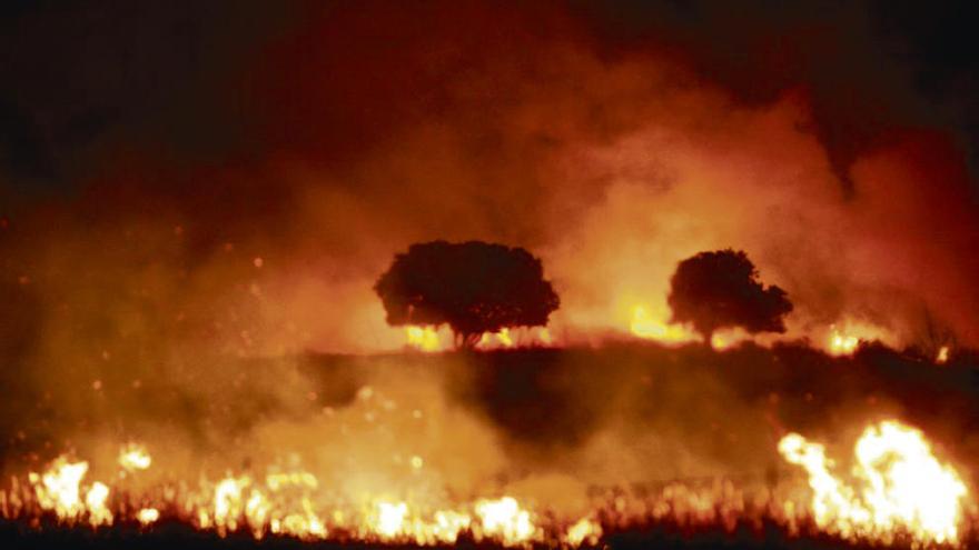 Imagen del fuego provocado por un rayo en Tardobispo.