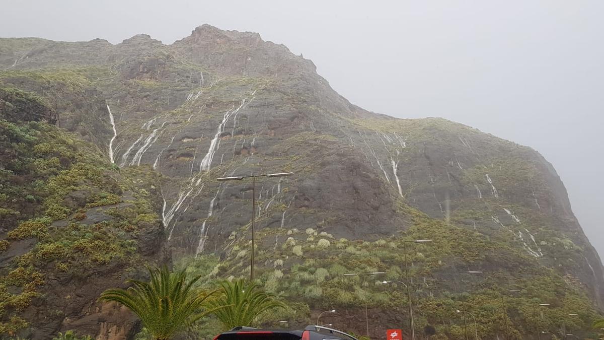 El Risco de La Concepción, regado por las lluvias