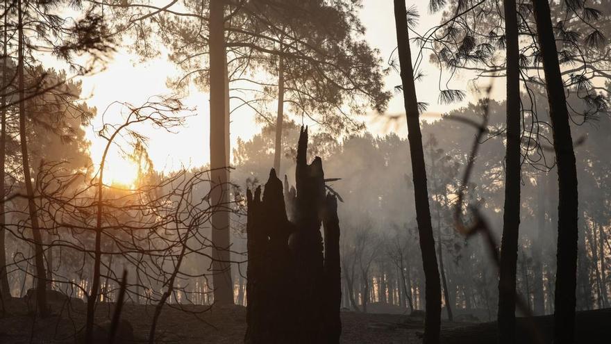 Las comunidades del PP rechazan el Pacto de Emergencia Climática ofrecido por Sánchez para frenar los incendios
