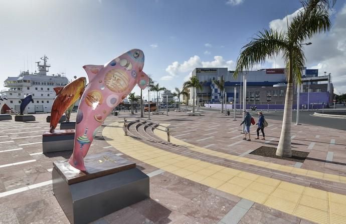 LAS PALMAS DE GRAN CANARIA. Plaza frente Acuario Poema del Mar.  | 21/04/2019 | Fotógrafo: José Pérez Curbelo