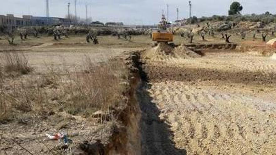 Els treballs de moviment de terres per la futura zona esportiva.