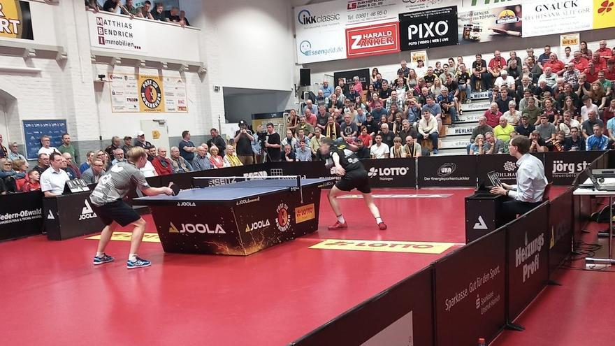 El Real Cajasur Priego, eliminado de la Copa de Europa de tenis de mesa