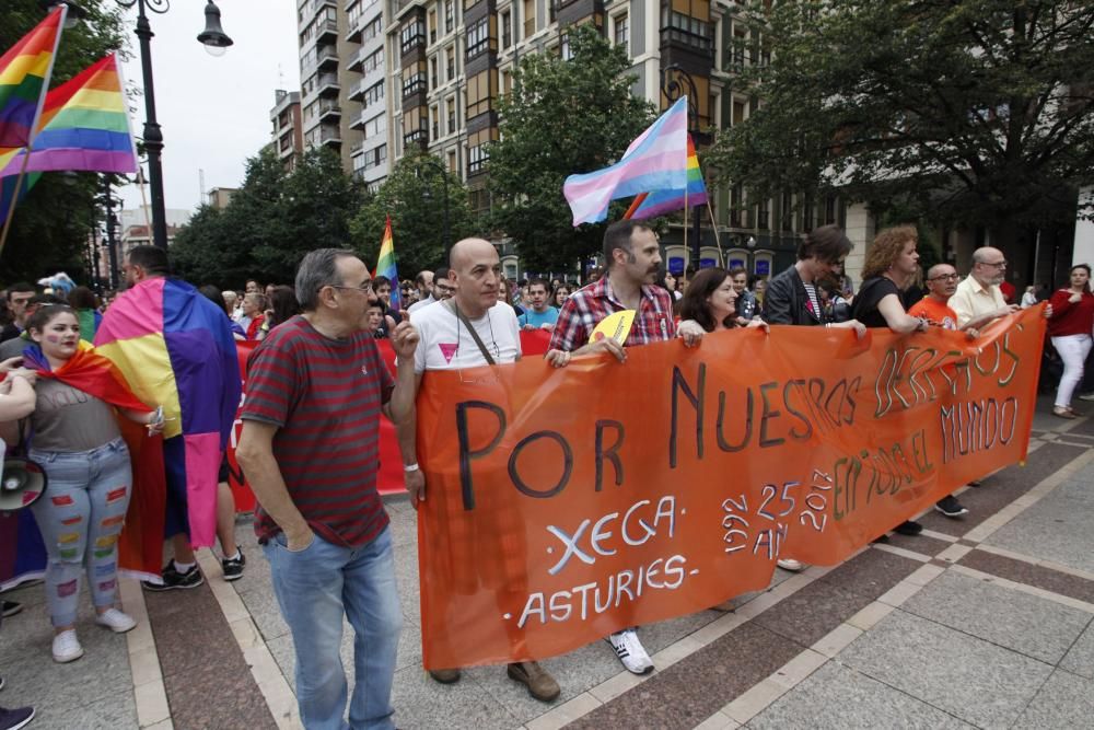 Manifestación del Orgullín del Norte.