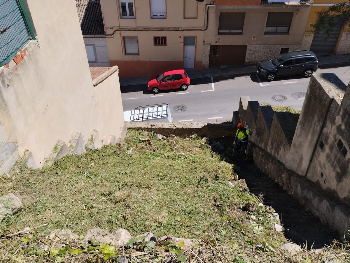 Limpieza de otro solar municipal
