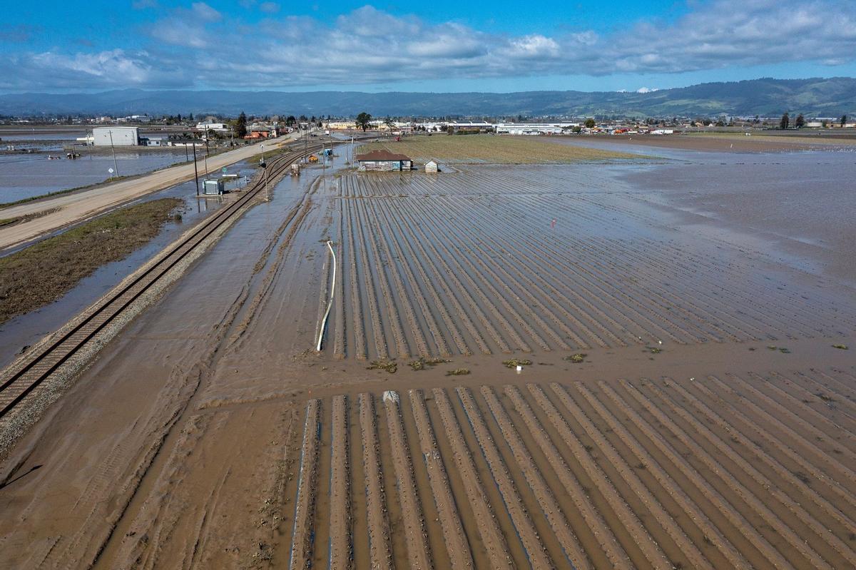 Campos inundados en Pájaro (California) debido al paso de un río atmosférico