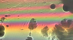 Vídeo del tema ’Angels’, del disc ’Coexist’, del grup britànic The xx.