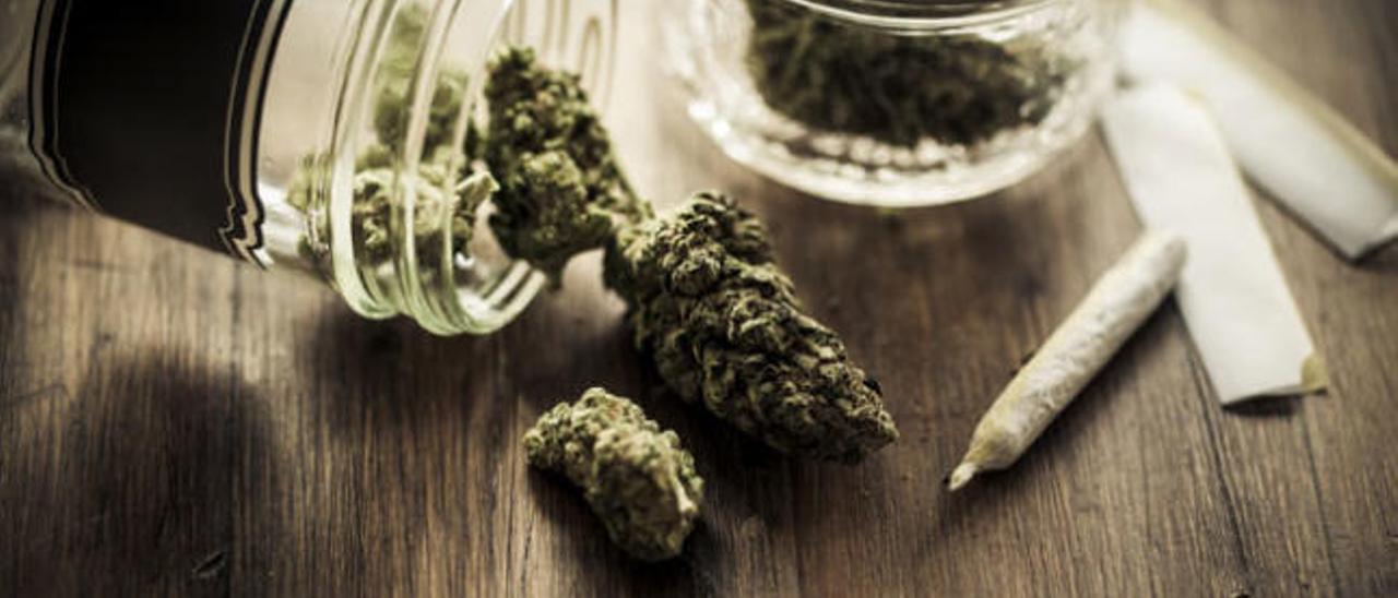 La regulación del cannabis logra apoyos en la mayoría del Parlamento canario