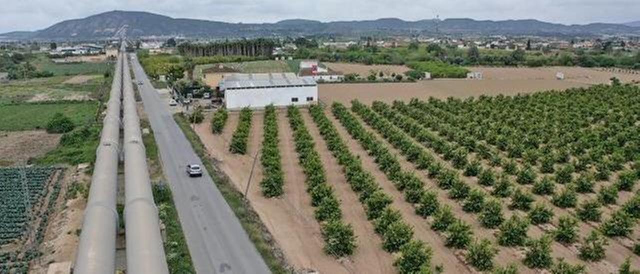 Tuberías del trasvase junto a plantaciones agrícolas en la Vega Baja.