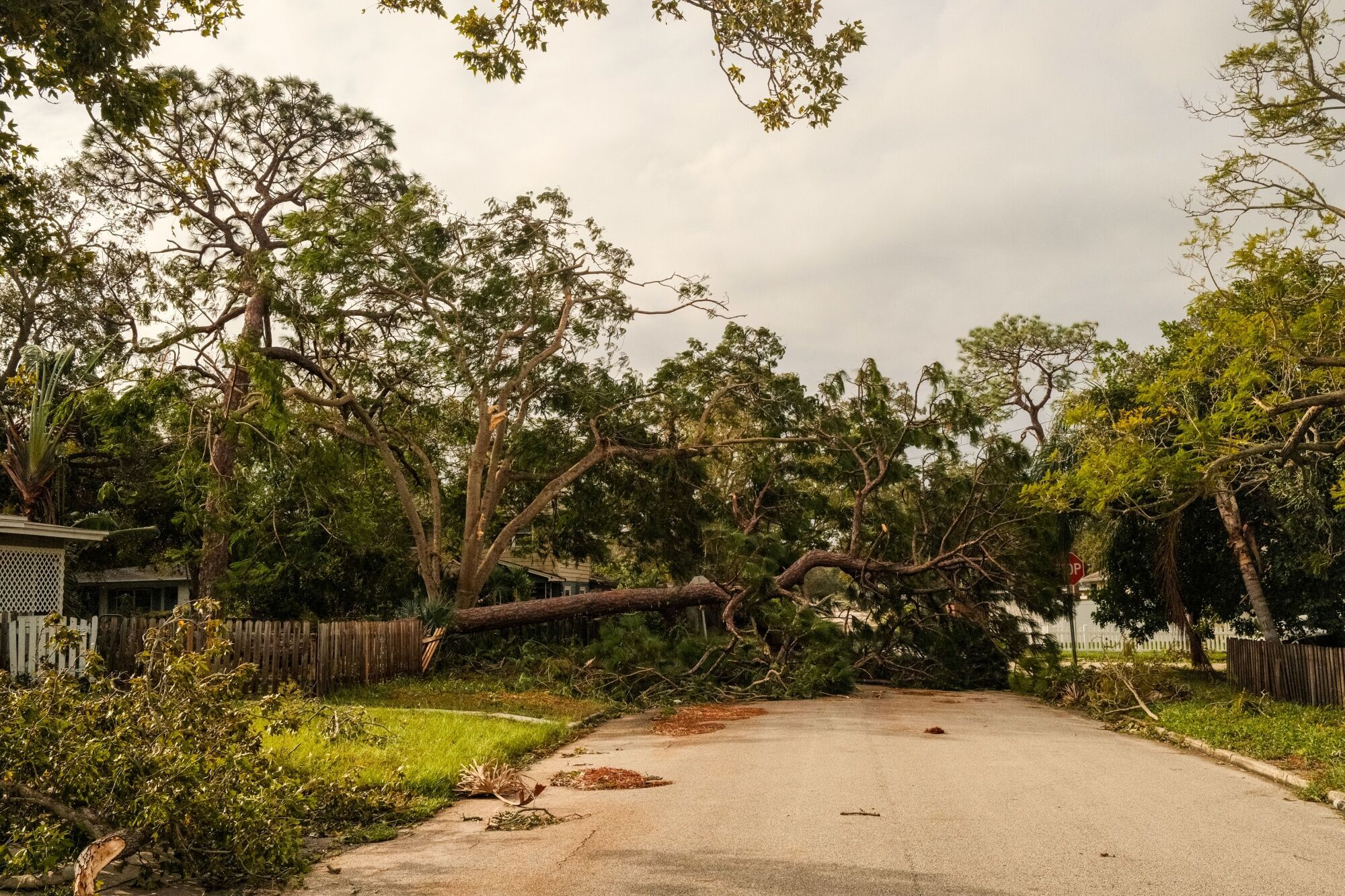Els efectes de l'huracà Milton, en imatges