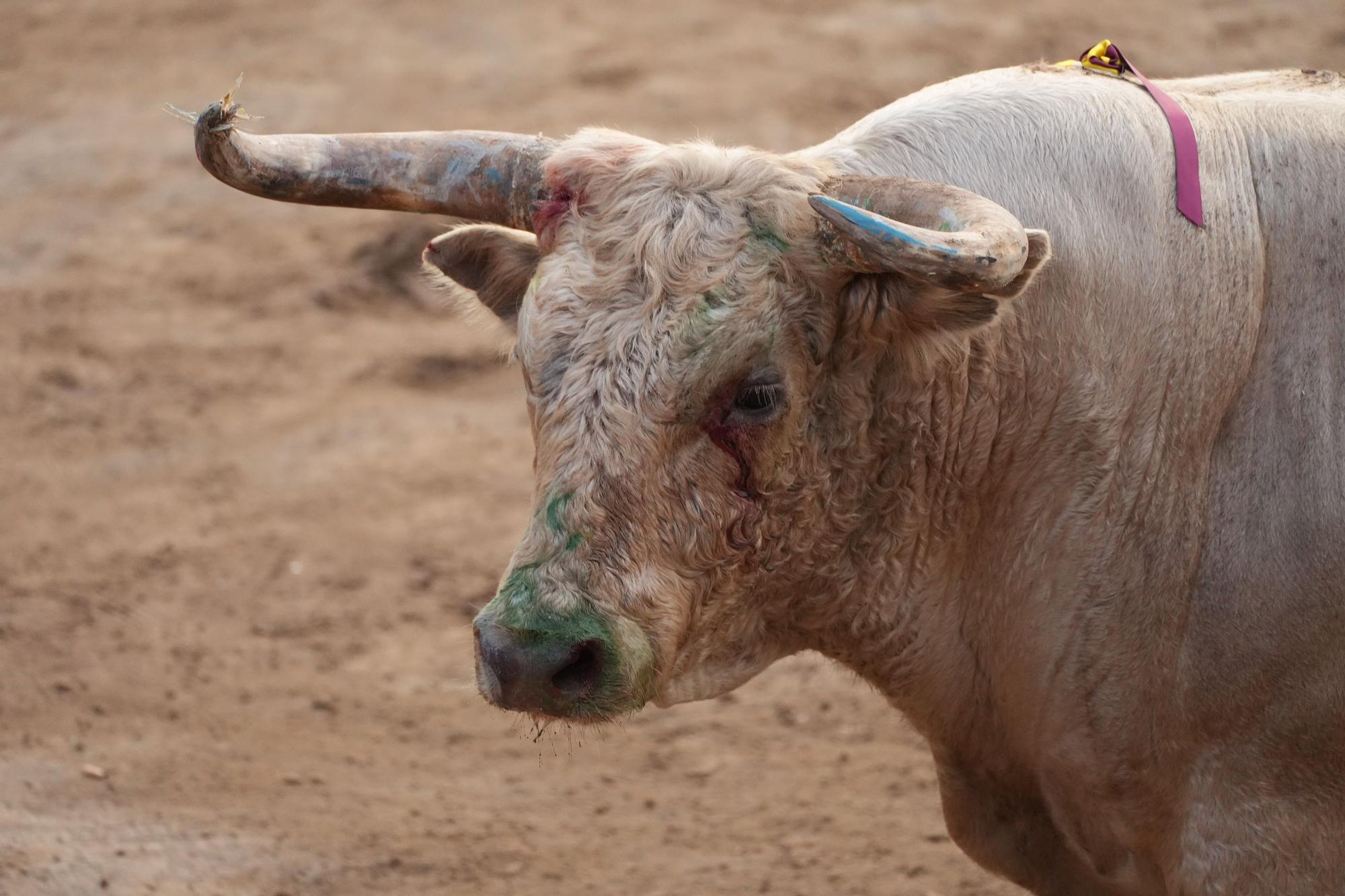 Galería de fotos de la última tarde de toros de la Fira en Onda