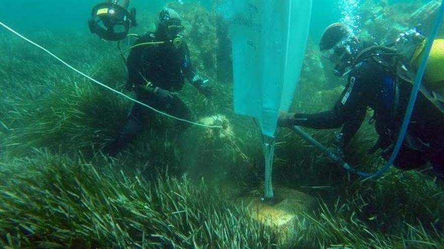 Submarinistes treballant a un camp de fondeig del Baix Empordà en una imatge d&#039;arxiu