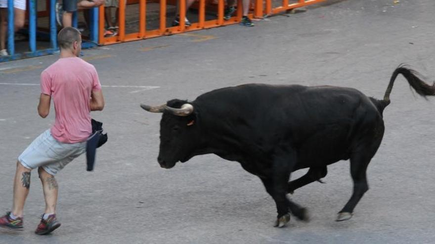 El PP pide quitar la obligación de tener un médico en los &#039;bous al carrer&#039;