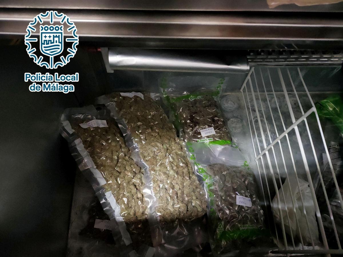 Bolsas de marihuana al vacío intervenidas en uno de los clubs procannabis