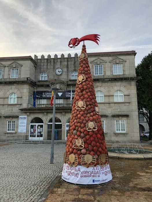 El árbol de O Grove, imbatible en originalidad // Muñiz