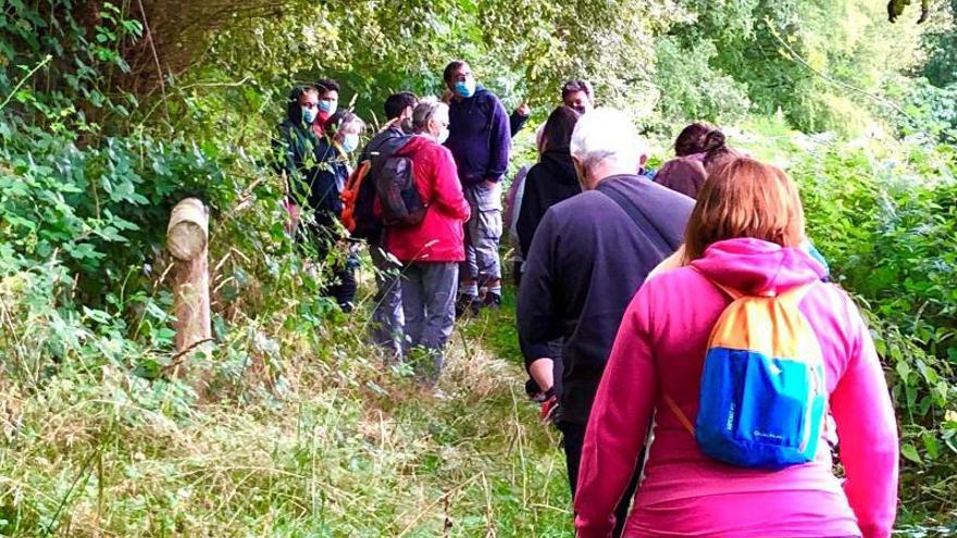 Participantes en una anterior ruta de “Bosques Terapéuticos” por la fraga de Catasós. |   // FDV