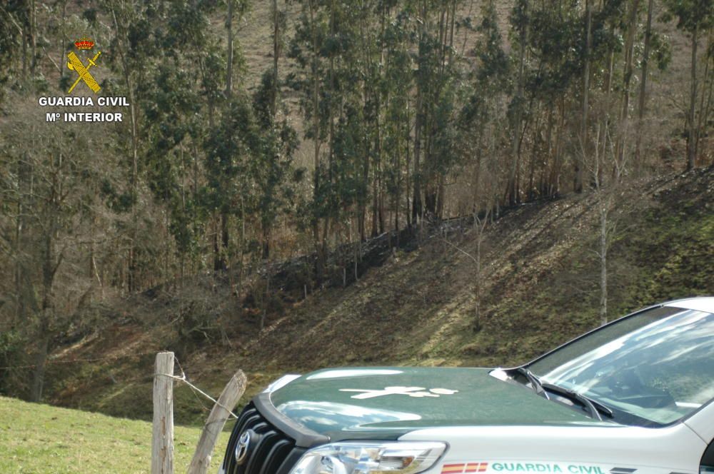 Un apicultor tinetense de 28 años, causante del gr