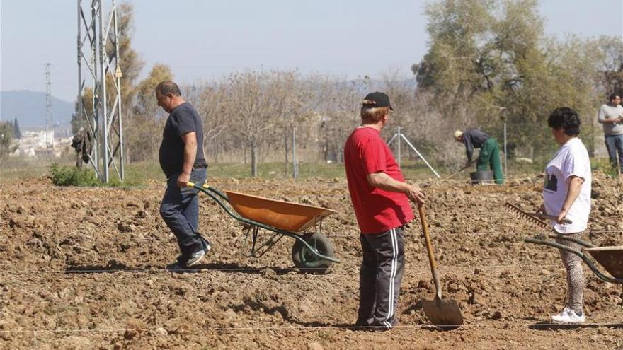 Nuevo ciclo de cursos de formación sobre huertos urbanos ecológicos