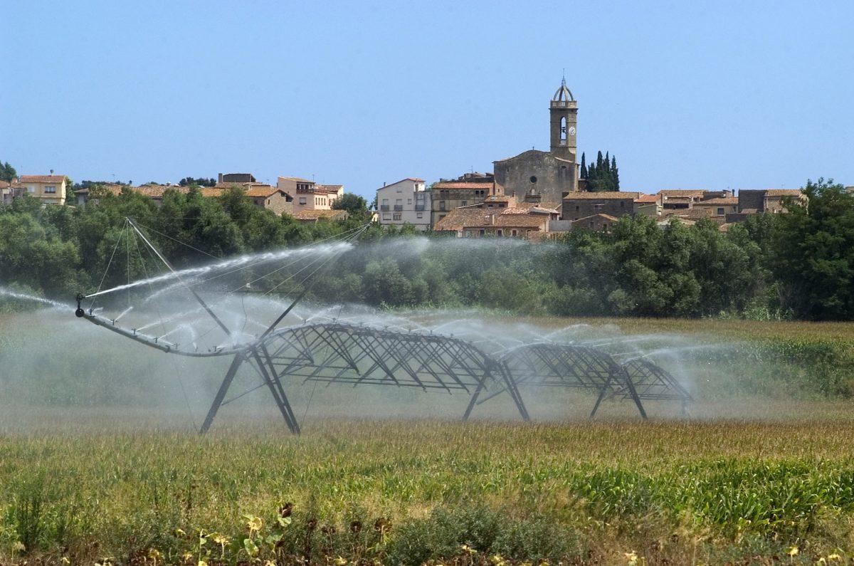 Sistema de riego en un maizal de Colomers (Girona).