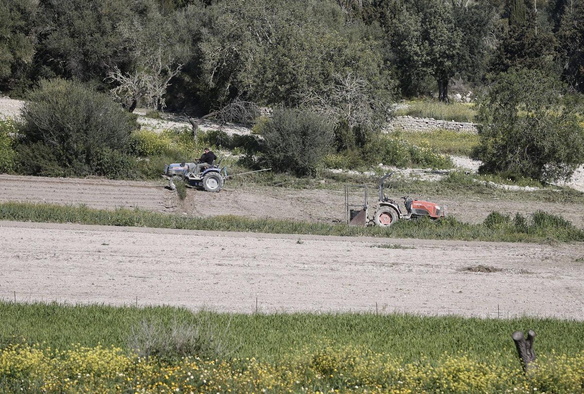 Vista general de campos de cultivo en Sant Joan.