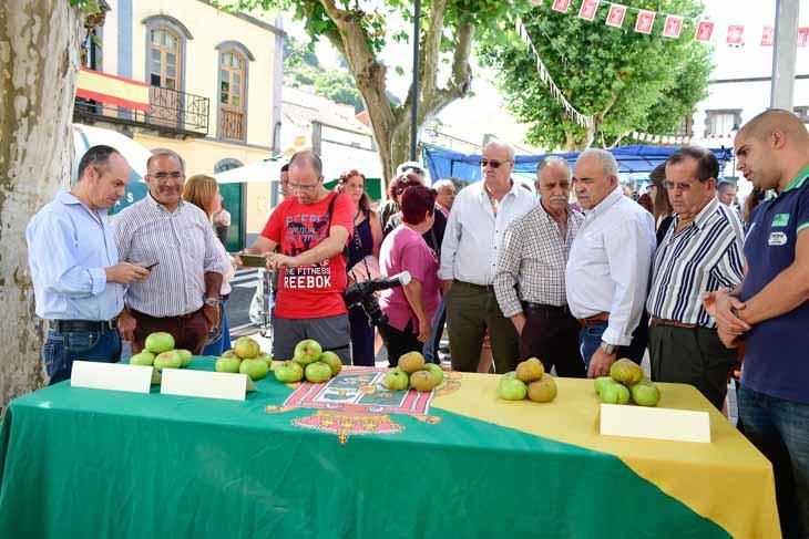 Fiesta de la manzana de Valleseco