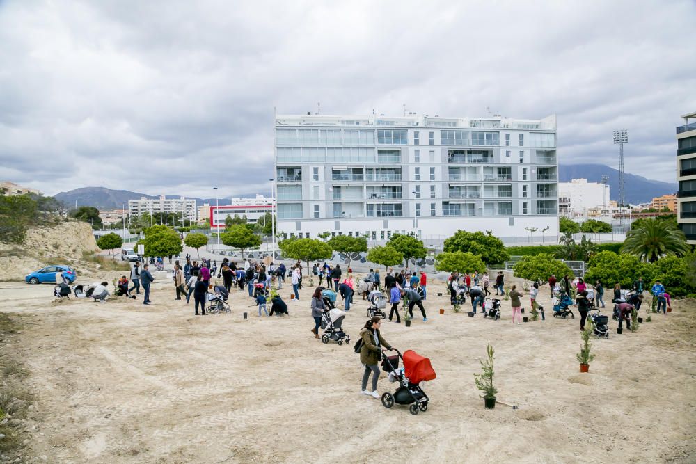 Galería de la Acampada de Benidorm