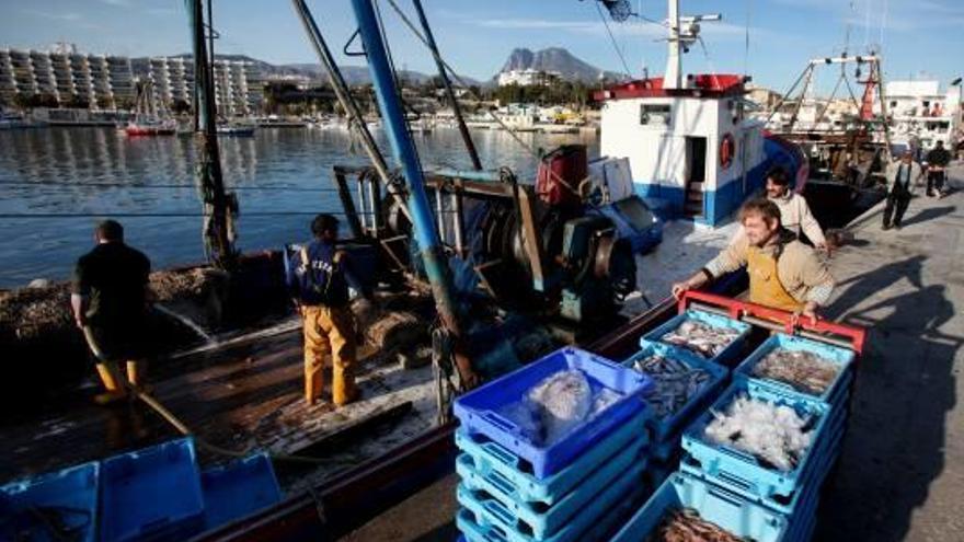 La Cofradía de Pescadores de La Vila liquida sus deudas