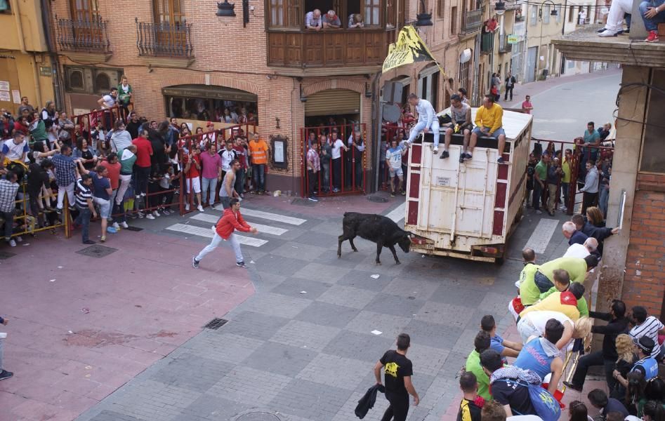 Becerrada, encierros y vaca de la sangría