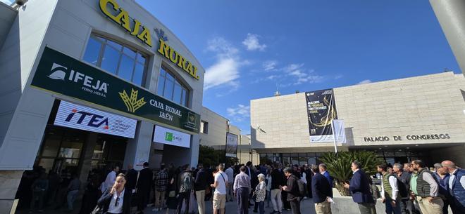 Expoliva abre sus puertas como el mayor escaparate mundial del aceite de oliva