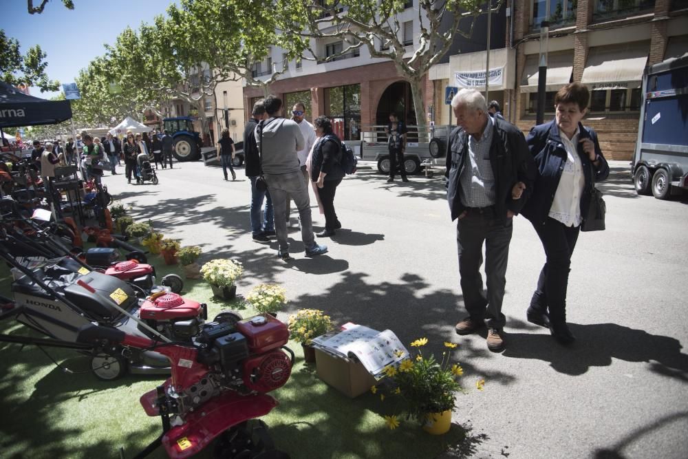 Fira de Primavera de Navàs 2019