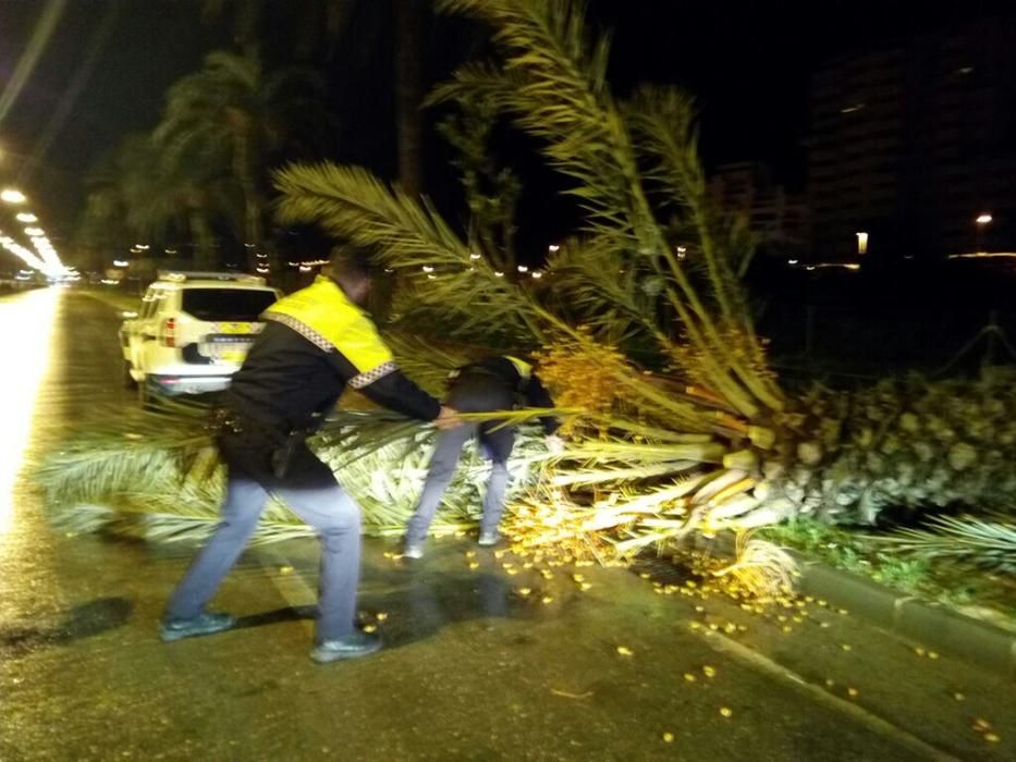 El temporal en Calp