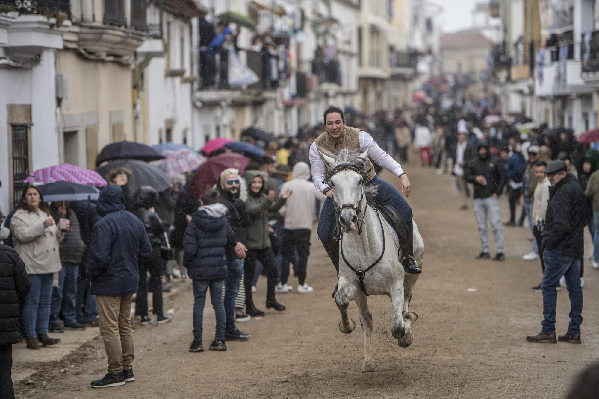 Carreras de caballos en Arroyo de la Luz