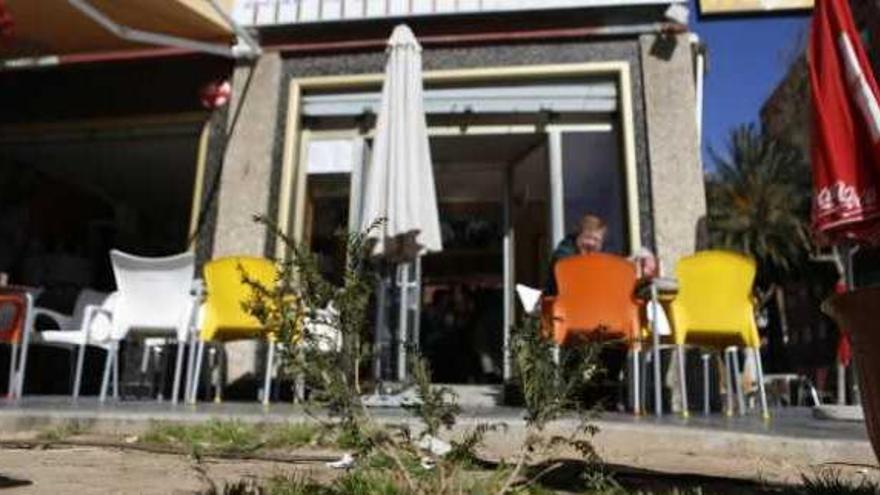 Uno de los árboles plantados ante la terraza, ayer, dañado por vándalos.