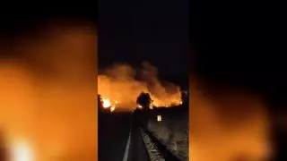 Ocho dotaciones del Consorci de Bombers trabajan en un incendio forestal de la Pobla del Duc