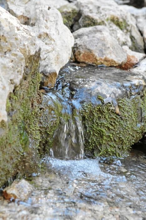 Die Quelle Es Salt des Freu bei Orient:  Es ist, als wenn das Wasser alles aufsaugt und mit sich reißt. Man möchte ihm folgen und verweilt doch immer wieder, um Fels, Steine, Verästelungen zu betracht