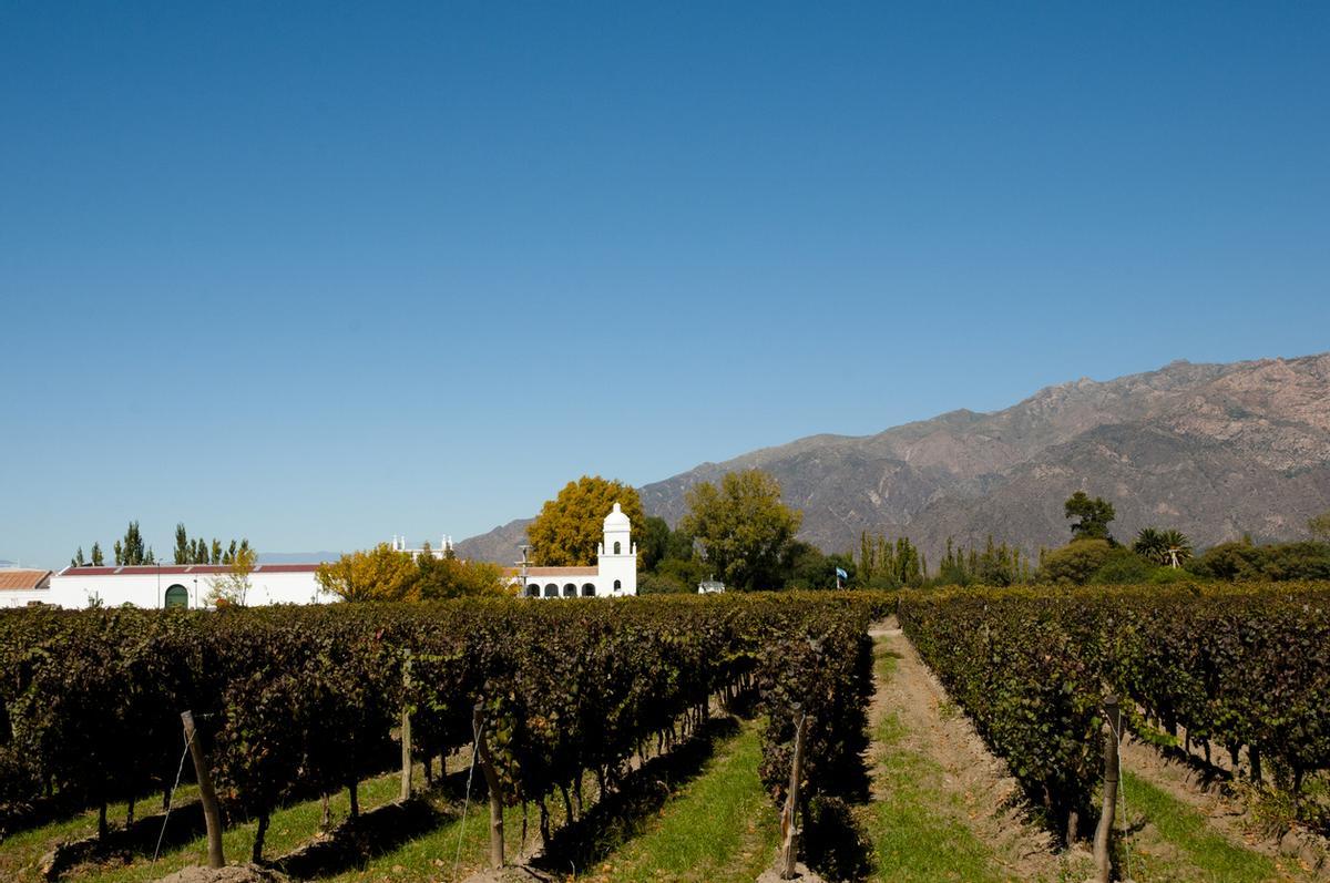 Las bodegas de Cafayate se distinguen por combinar la tradición colonial con la modernidad técnica, siempre rodeadas de un paisaje árido y montañoso