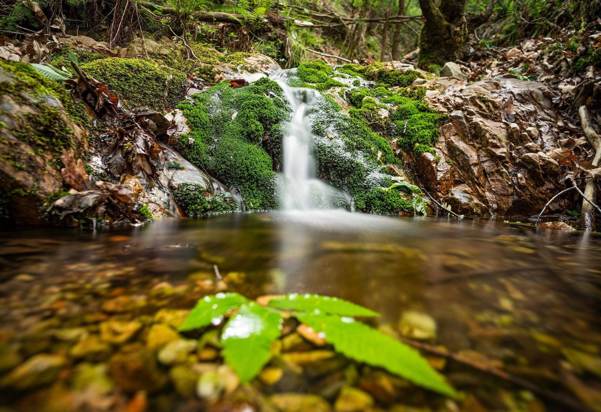 EL ARROYO DE RICAO. Autor SANTIAGO DE LA VEGA.jpg