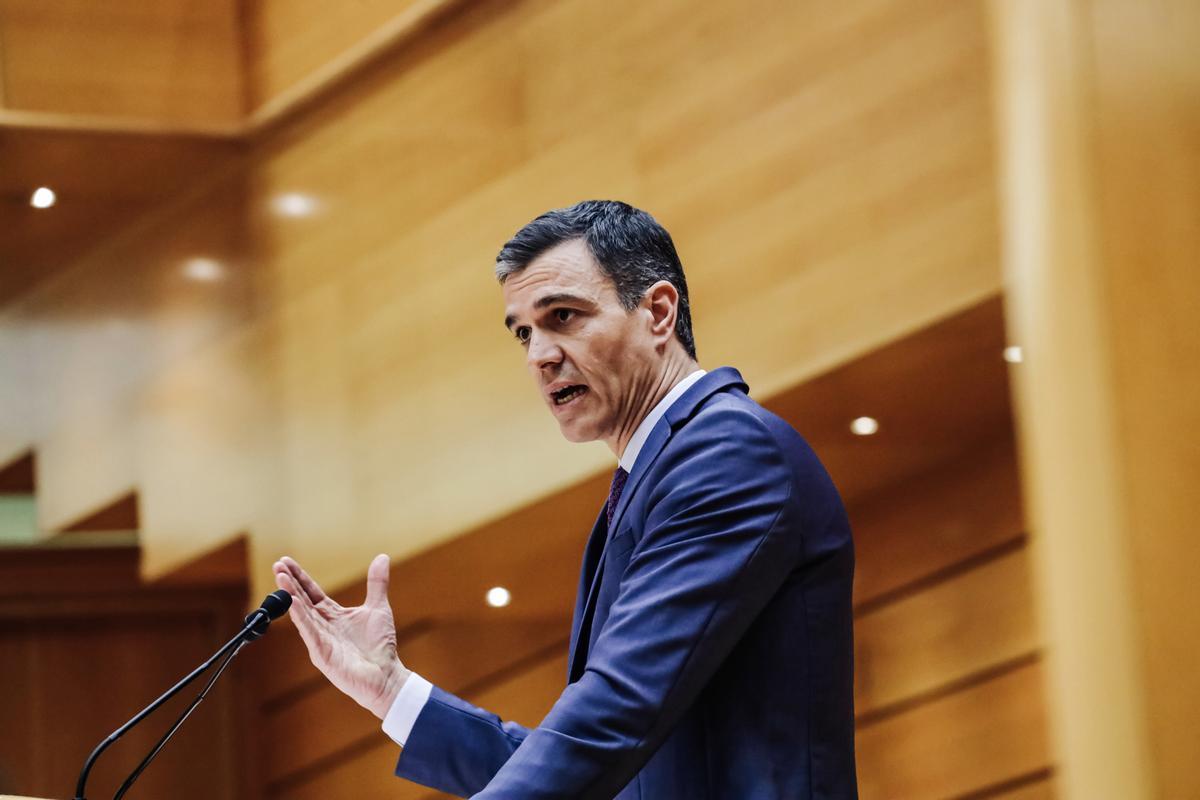 El presidente del Gobierno, Pedro Sánchez, durante su intervención en el Senado.