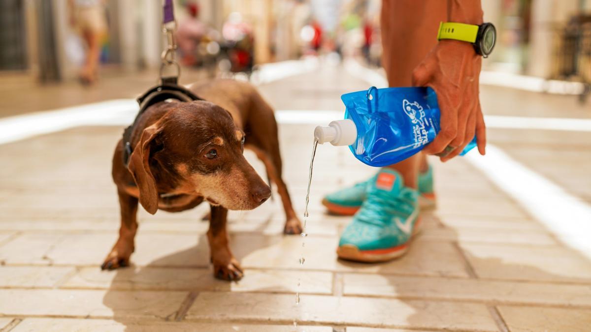 Una persona usando las botellas que repartirá el Ayuntamiento de Huelva